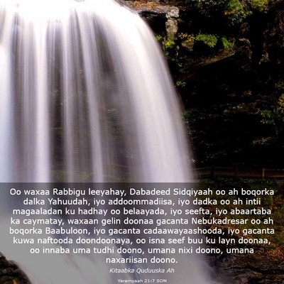 Picture 03 - Yeremyaah 21:7 SOM - Oo waxaa Rabbigu leeyahay, Dabadeed Sidqiyaah oo - Bible Verse Picture
