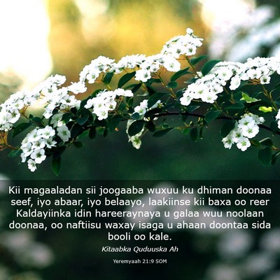 Picture 03 - Yeremyaah 21:9 SOM - Kii magaaladan sii joogaaba wuxuu ku dhiman - Bible Verse Picture