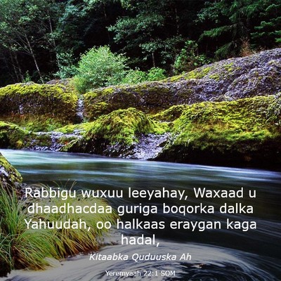 Picture 03 - Yeremyaah 22:1 SOM - Rabbigu wuxuu leeyahay, Waxaad u dhaadhacdaa - Bible Verse Picture