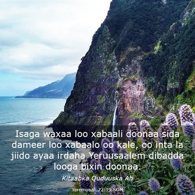 Picture 03 - Yeremyaah 22:19 SOM - Isaga waxaa loo xabaali doonaa sida dameer loo - Bible Verse Picture