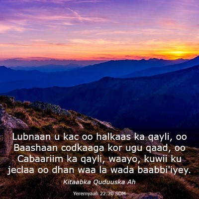 Picture 03 - Yeremyaah 22:20 SOM - Lubnaan u kac oo halkaas ka qayli, oo Baashaan - Bible Verse Picture
