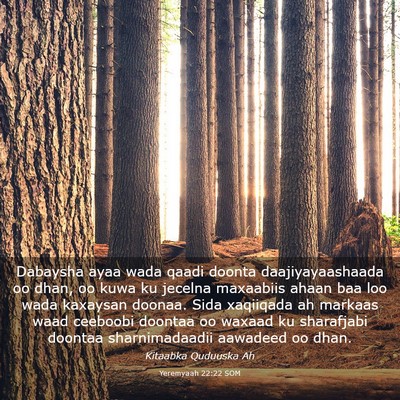 Picture 03 - Yeremyaah 22:22 SOM - Dabaysha ayaa wada qaadi doonta daajiyayaashaada - Bible Verse Picture