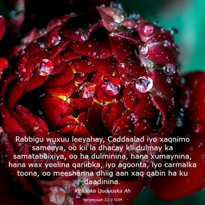 Picture 03 - Yeremyaah 22:3 SOM - Rabbigu wuxuu leeyahay, Caddaalad iyo xaqnimo - Bible Verse Picture
