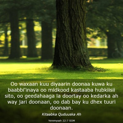 Picture 03 - Yeremyaah 22:7 SOM - Oo waxaan kuu diyaarin doonaa kuwa ku - Bible Verse Picture