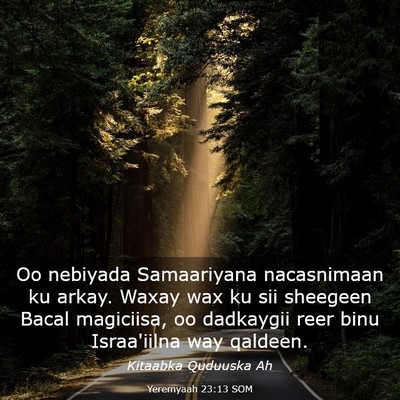 Picture 03 - Yeremyaah 23:13 SOM - Oo nebiyada Samaariyana nacasnimaan ku arkay. - Bible Verse Picture