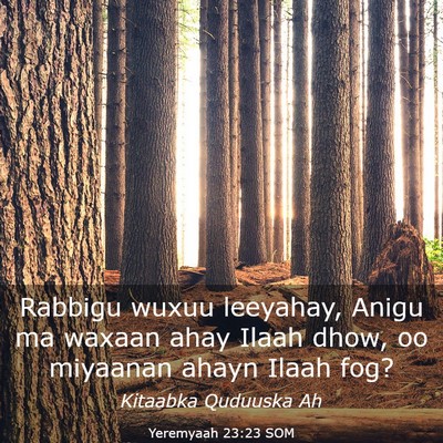 Picture 03 - Yeremyaah 23:23 SOM - Rabbigu wuxuu leeyahay, Anigu ma waxaan ahay - Bible Verse Picture