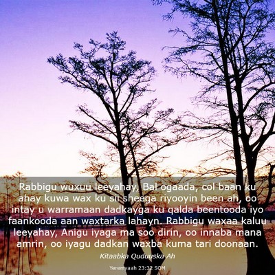 Picture 03 - Yeremyaah 23:32 SOM - Rabbigu wuxuu leeyahay, Bal ogaada, col baan ku - Bible Verse Picture