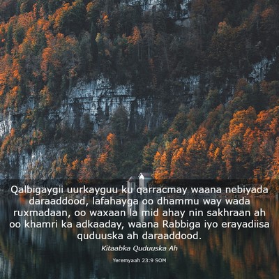 Picture 03 - Yeremyaah 23:9 SOM - Qalbigaygii uurkayguu ku qarracmay waana nebiyada - Bible Verse Picture