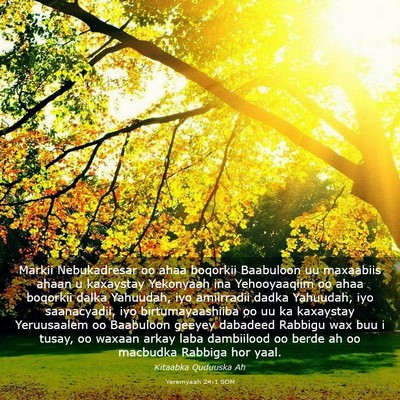 Picture 03 - Yeremyaah 24:1 SOM - Markii Nebukadresar oo ahaa boqorkii Baabuloon uu - Bible Verse Picture