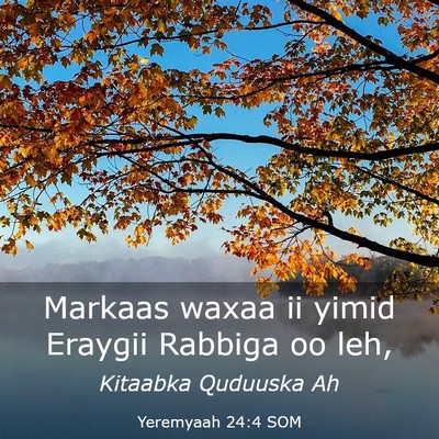 Picture 03 - Yeremyaah 24:4 SOM - Markaas waxaa ii yimid Eraygii Rabbiga oo - Bible Verse Picture