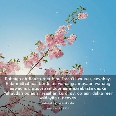 Picture 03 - Yeremyaah 24:5 SOM - Rabbiga ah Ilaaha reer binu Israa'iil wuxuu - Bible Verse Picture