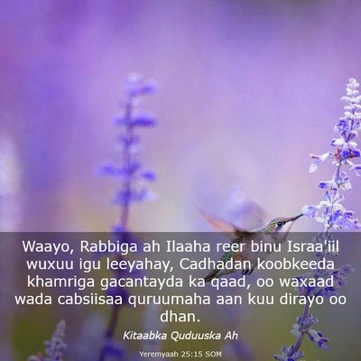 Picture 03 - Yeremyaah 25:15 SOM - Waayo, Rabbiga ah Ilaaha reer binu Israa'iil - Bible Verse Picture