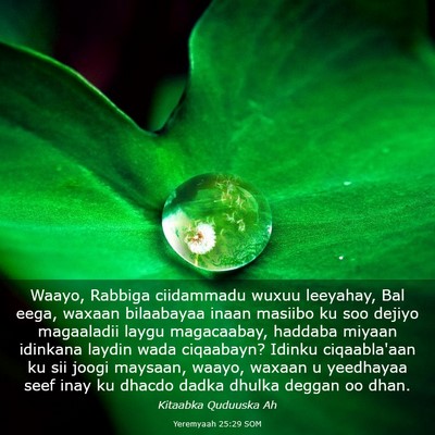Picture 03 - Yeremyaah 25:29 SOM - Waayo, Rabbiga ciidammadu wuxuu leeyahay, Bal - Bible Verse Picture