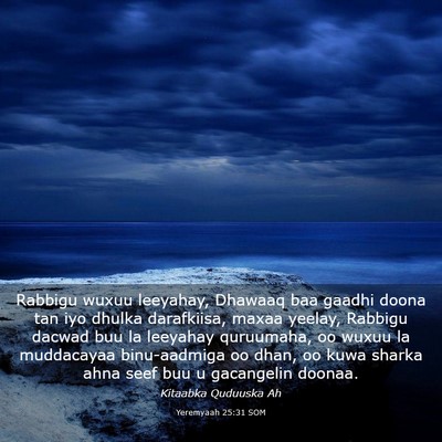 Picture 03 - Yeremyaah 25:31 SOM - Rabbigu wuxuu leeyahay, Dhawaaq baa gaadhi doona - Bible Verse Picture