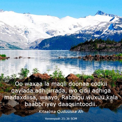 Picture 03 - Yeremyaah 25:36 SOM - Oo waxaa la maqli doonaa codkii qaylada - Bible Verse Picture