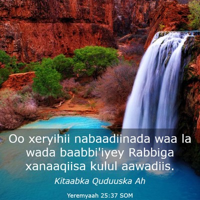 Picture 03 - Yeremyaah 25:37 SOM - Oo xeryihii nabaadiinada waa la wada baabbi'iyey - Bible Verse Picture