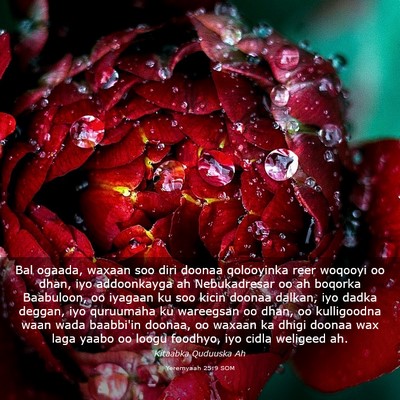 Picture 03 - Yeremyaah 25:9 SOM - Bal ogaada, waxaan soo diri doonaa qolooyinka - Bible Verse Picture