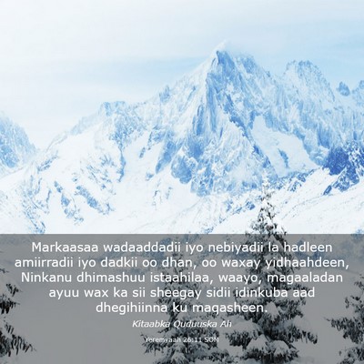 Picture 03 - Yeremyaah 26:11 SOM - Markaasaa wadaaddadii iyo nebiyadii la hadleen - Bible Verse Picture