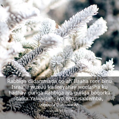 Picture 03 - Yeremyaah 27:21 SOM - Rabbiga ciidammada oo ah Ilaaha reer binu - Bible Verse Picture