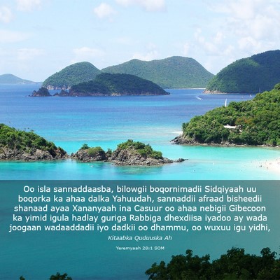 Picture 03 - Yeremyaah 28:1 SOM - Oo isla sannaddaasba, bilowgii boqornimadii - Bible Verse Picture