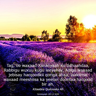 Picture 03 - Yeremyaah 28:13 SOM - Tag, oo waxaad Xananyaah ku tidhaahdaa, Rabbigu - Bible Verse Picture