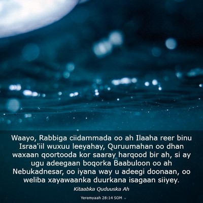 Picture 03 - Yeremyaah 28:14 SOM - Waayo, Rabbiga ciidammada oo ah Ilaaha reer binu - Bible Verse Picture