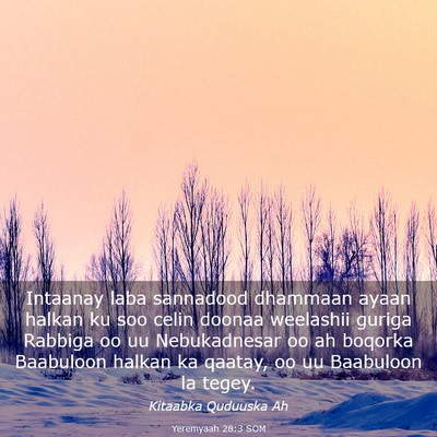 Picture 03 - Yeremyaah 28:3 SOM - Intaanay laba sannadood dhammaan ayaan halkan ku - Bible Verse Picture