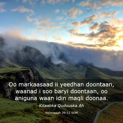 Picture 03 - Yeremyaah 29:12 SOM - Oo markaasaad ii yeedhan doontaan, waanad i soo - Bible Verse Picture