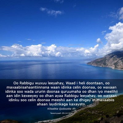 Picture 03 - Yeremyaah 29:14 SOM - Oo Rabbigu wuxuu leeyahay, Waad i heli doontaan, - Bible Verse Picture