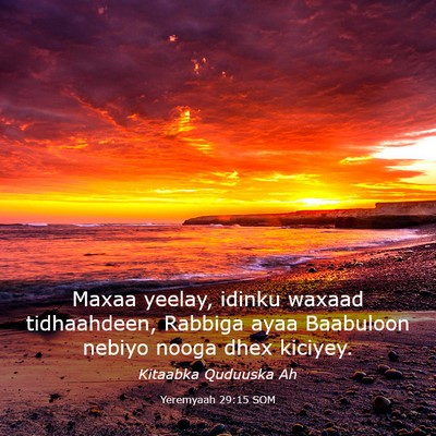Picture 03 - Yeremyaah 29:15 SOM - Maxaa yeelay, idinku waxaad tidhaahdeen, Rabbiga - Bible Verse Picture