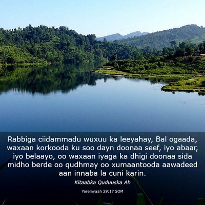 Picture 03 - Yeremyaah 29:17 SOM - Rabbiga ciidammadu wuxuu ka leeyahay, Bal ogaada, - Bible Verse Picture