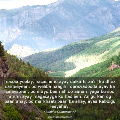 Picture 03 - Yeremyaah 29:23 SOM - maxaa yeelay, nacasnimo ayay dalka Israa'iil ku - Bible Verse Picture