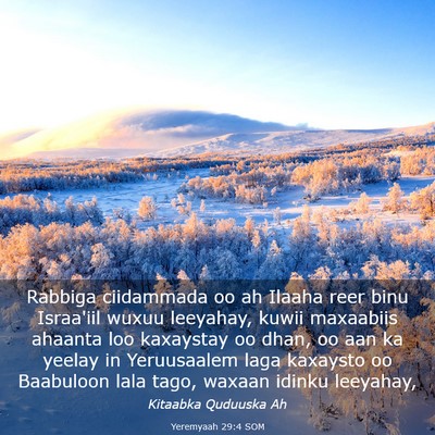 Picture 03 - Yeremyaah 29:4 SOM - Rabbiga ciidammada oo ah Ilaaha reer binu - Bible Verse Picture