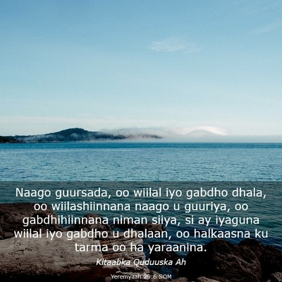 Picture 03 - Yeremyaah 29:6 SOM - Naago guursada, oo wiilal iyo gabdho dhala, oo - Bible Verse Picture