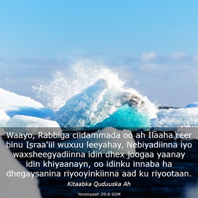 Picture 03 - Yeremyaah 29:8 SOM - Waayo, Rabbiga ciidammada oo ah Ilaaha reer binu - Bible Verse Picture