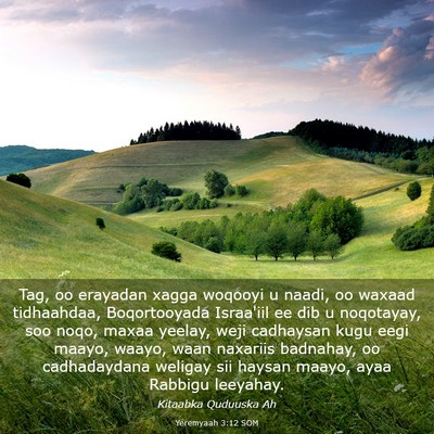 Picture 03 - Yeremyaah 3:12 SOM - Tag, oo erayadan xagga woqooyi u naadi, oo waxaad - Bible Verse Picture