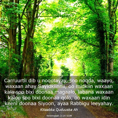Picture 03 - Yeremyaah 3:14 SOM - Carruurtii dib u noqotayay, soo noqda, waayo, - Bible Verse Picture