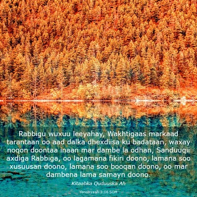 Picture 03 - Yeremyaah 3:16 SOM - Rabbigu wuxuu leeyahay, Wakhtigaas markaad - Bible Verse Picture