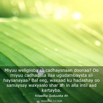 Picture 03 - Yeremyaah 3:5 SOM - Miyuu weligiisba sii cadhaysnaan doonaa? Oo miyuu - Bible Verse Picture