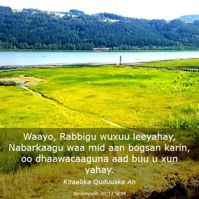 Picture 03 - Yeremyaah 30:12 SOM - Waayo, Rabbigu wuxuu leeyahay, Nabarkaagu waa mid - Bible Verse Picture