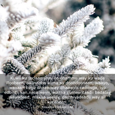 Picture 03 - Yeremyaah 30:14 SOM - Kuwii ku jeclaan jiray oo dhammu way ku wada - Bible Verse Picture