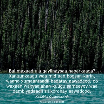 Picture 03 - Yeremyaah 30:15 SOM - Bal maxaad ula qaylinaysaa nabarkaaga? - Bible Verse Picture