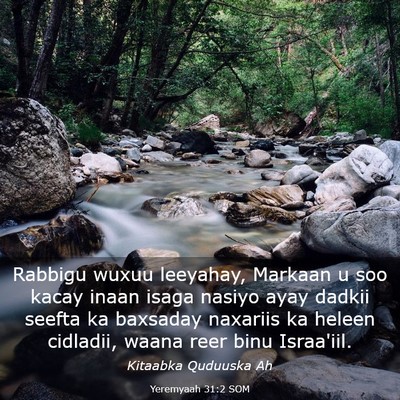 Picture 03 - Yeremyaah 31:2 SOM - Rabbigu wuxuu leeyahay, Markaan u soo kacay inaan - Bible Verse Picture