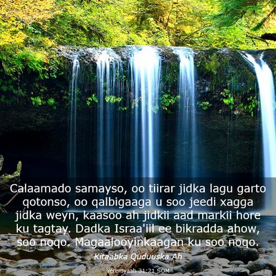 Picture 03 - Yeremyaah 31:21 SOM - Calaamado samayso, oo tiirar jidka lagu garto - Bible Verse Picture