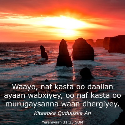 Picture 03 - Yeremyaah 31:25 SOM - Waayo, naf kasta oo daallan ayaan wabxiyey, oo - Bible Verse Picture