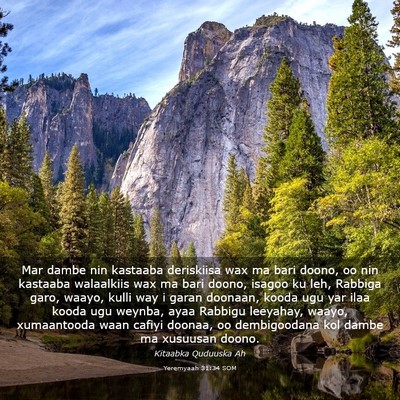 Picture 03 - Yeremyaah 31:34 SOM - Mar dambe nin kastaaba deriskiisa wax ma bari - Bible Verse Picture