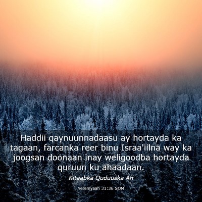 Picture 03 - Yeremyaah 31:36 SOM - Haddii qaynuunnadaasu ay hortayda ka tagaan, - Bible Verse Picture