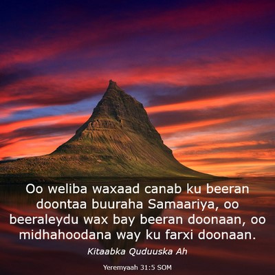 Picture 03 - Yeremyaah 31:5 SOM - Oo weliba waxaad canab ku beeran doontaa buuraha - Bible Verse Picture