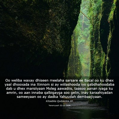 Picture 03 - Yeremyaah 32:35 SOM - Oo weliba waxay dhiseen meelaha sarsare ee Bacal - Bible Verse Picture