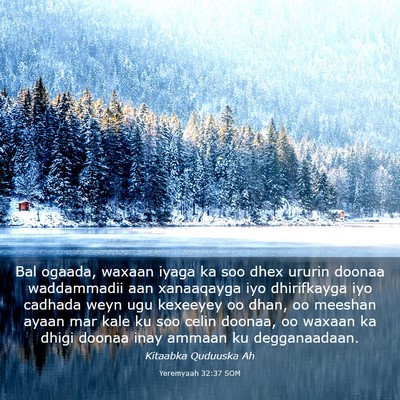 Picture 03 - Yeremyaah 32:37 SOM - Bal ogaada, waxaan iyaga ka soo dhex ururin - Bible Verse Picture